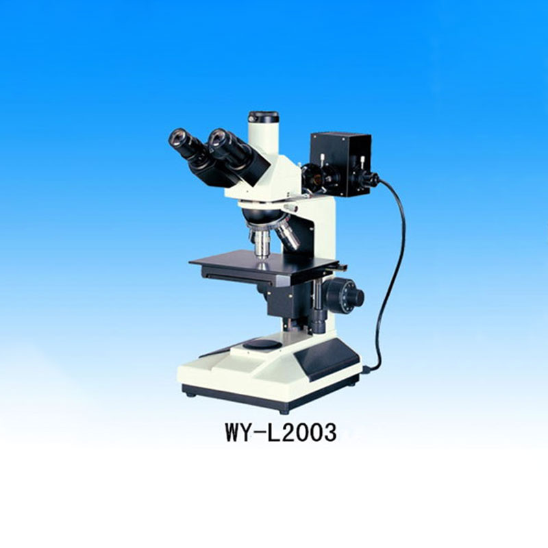 1658803058120282.jpg WY-L2003.jpg